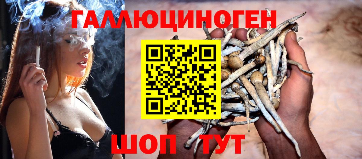 Галлюциногенные грибы прущие грибы  Вход с VPN  Кимовск  Галлюциногенные грибы Psilocybine cubensis 